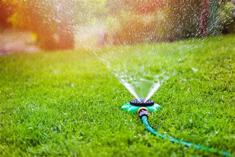 Watering lawn. Things To Know About Watering lawn. 
